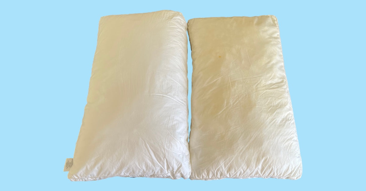 Pillow Pal Standard size